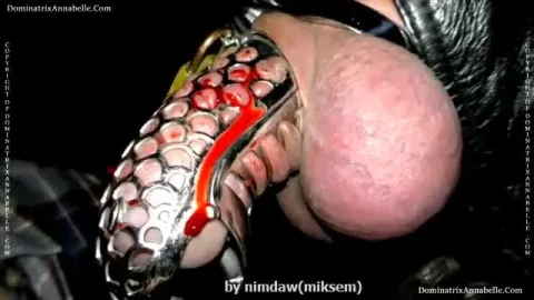 Cum Hither – Its your Desire saf